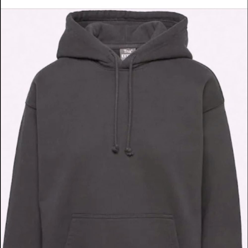TNA Aritzia Boyfriend Hoodie (never worn)